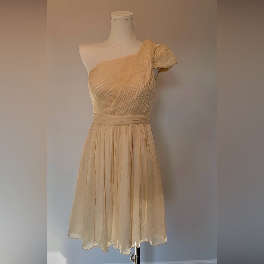 NWT - J.Crew Cara Chiffon Dress – Size 00